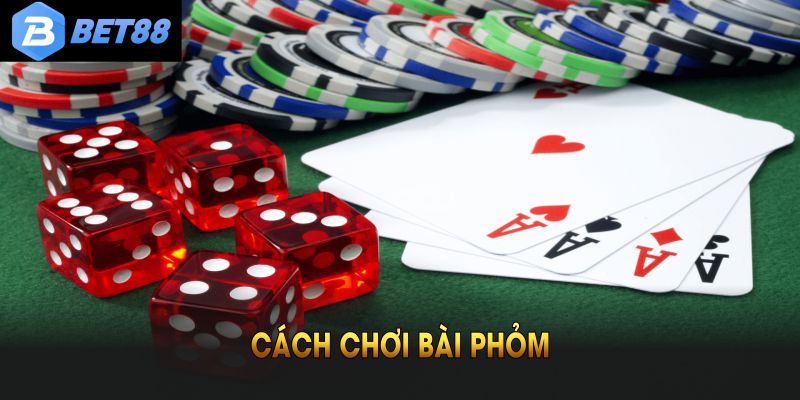 Cách Chơi Bài Phỏm - Hướng Dẫn Nhanh Dành Cho Người Mới