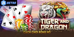 Cách Chơi Rồng Hổ Chi Tiết Từ A Đến Z Cho Người Mới