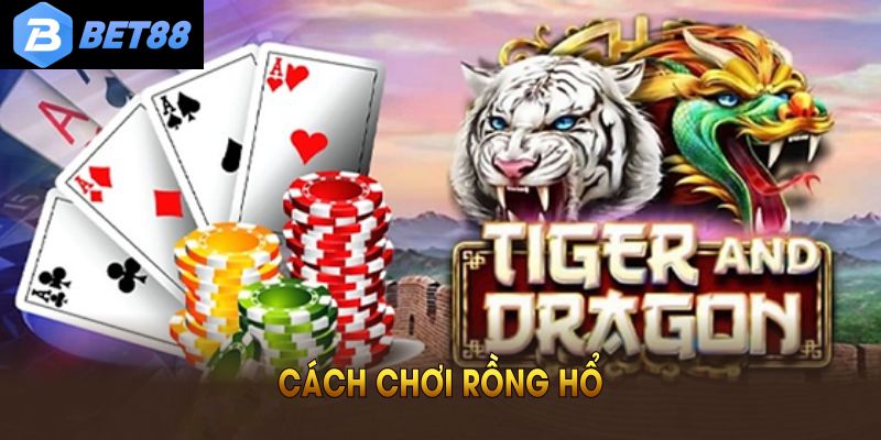 Cách Chơi Rồng Hổ Chi Tiết Từ A Đến Z Cho Người Mới