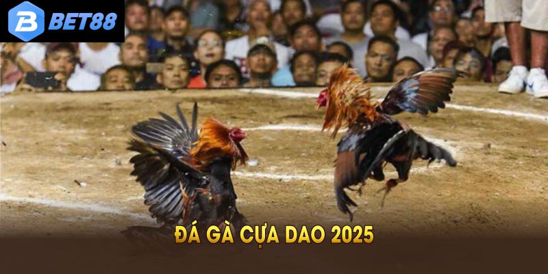 Đá Gà Cựa Dao 2025: Tìm Hiểu Luật Và Các Cửa Cược